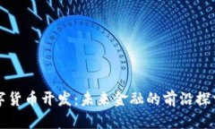 纽约数字货币开发：未来金融的前沿探索与挑战