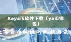 基础设施数字货币板块的现状与未来发展趋势