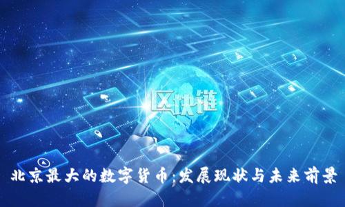 北京最大的数字货币：发展现状与未来前景