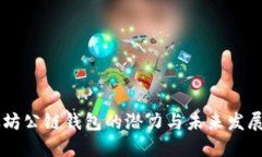 以太坊公链钱包的潜力与未来发展展望