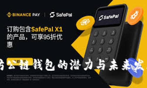 以太坊公链钱包的潜力与未来发展展望