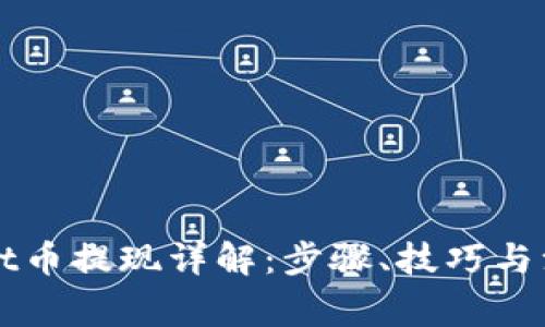 TPWallet币提现详解：步骤、技巧与注意事项