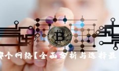 : TPWallet使用哪个网络？全面分析与选择最佳区块