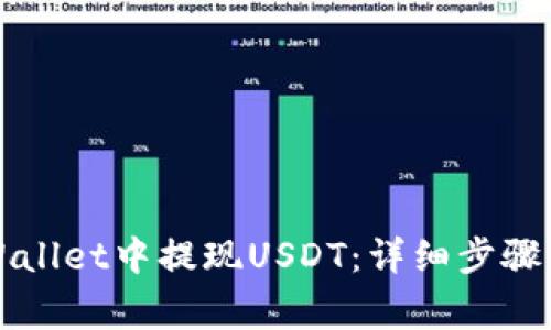 如何在TPWallet中提现USDT：详细步骤与注意事项