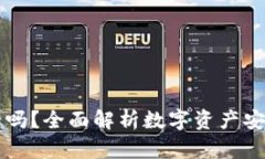 TPWallet安全吗？全面解析数字资产安全与风险管理