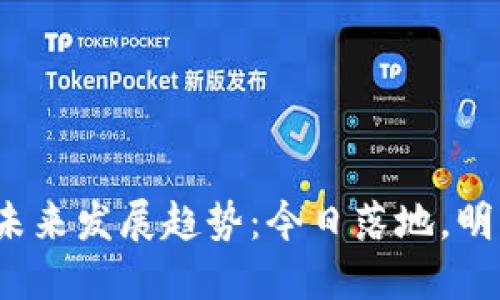数字货币的未来发展趋势：今日落地，明日何去何从？