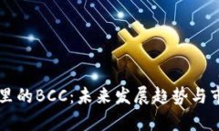 以太坊钱包里的BCC：未来发展趋势与市场潜力分