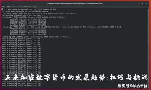 未来加密数字货币的发展趋势：机遇与挑战