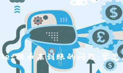 如何处理TPWallet提币未到账的问题：常见原因与解决方案