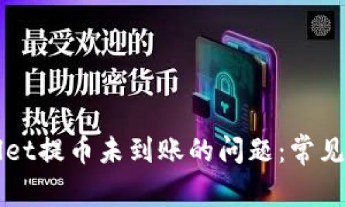 如何处理TPWallet提币未到账的问题：常见原因与解决方案