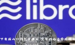 如何下载国内TP钱包苹果版：完整指南与常见问题