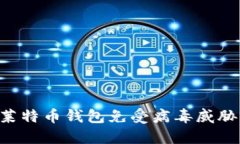 如何保护莱特币钱包免受病毒威胁：完整指南