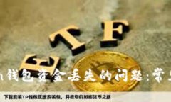 如何解决imToken钱包资金丢失的问题：常见原因与
